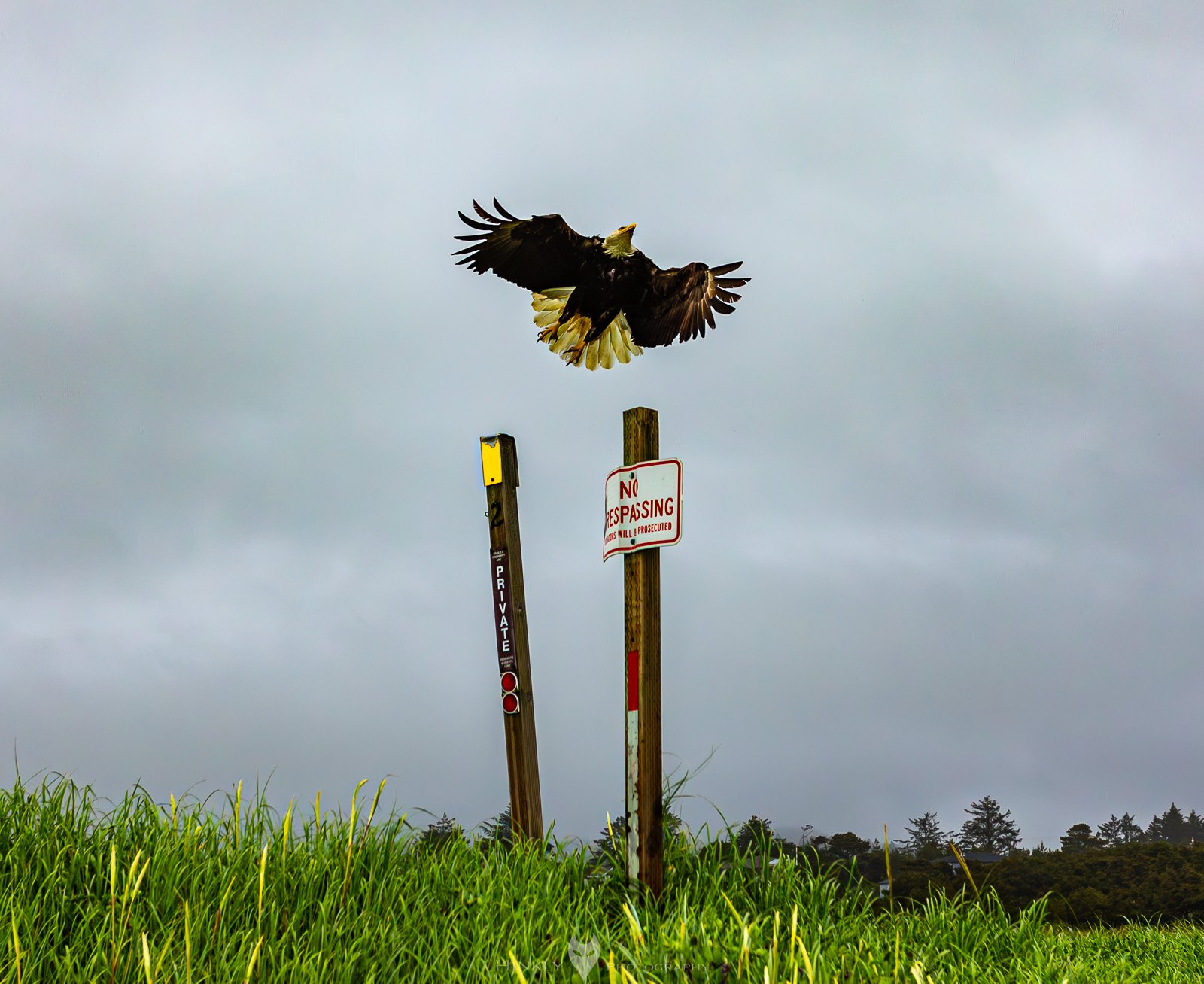 HinklyPhotography_2025_Oregon2022-2.jpg