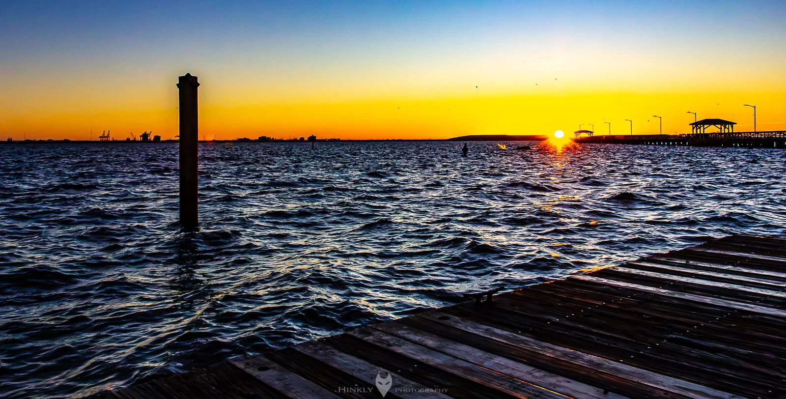 Hinkly_Photography_Tampa-17.jpg