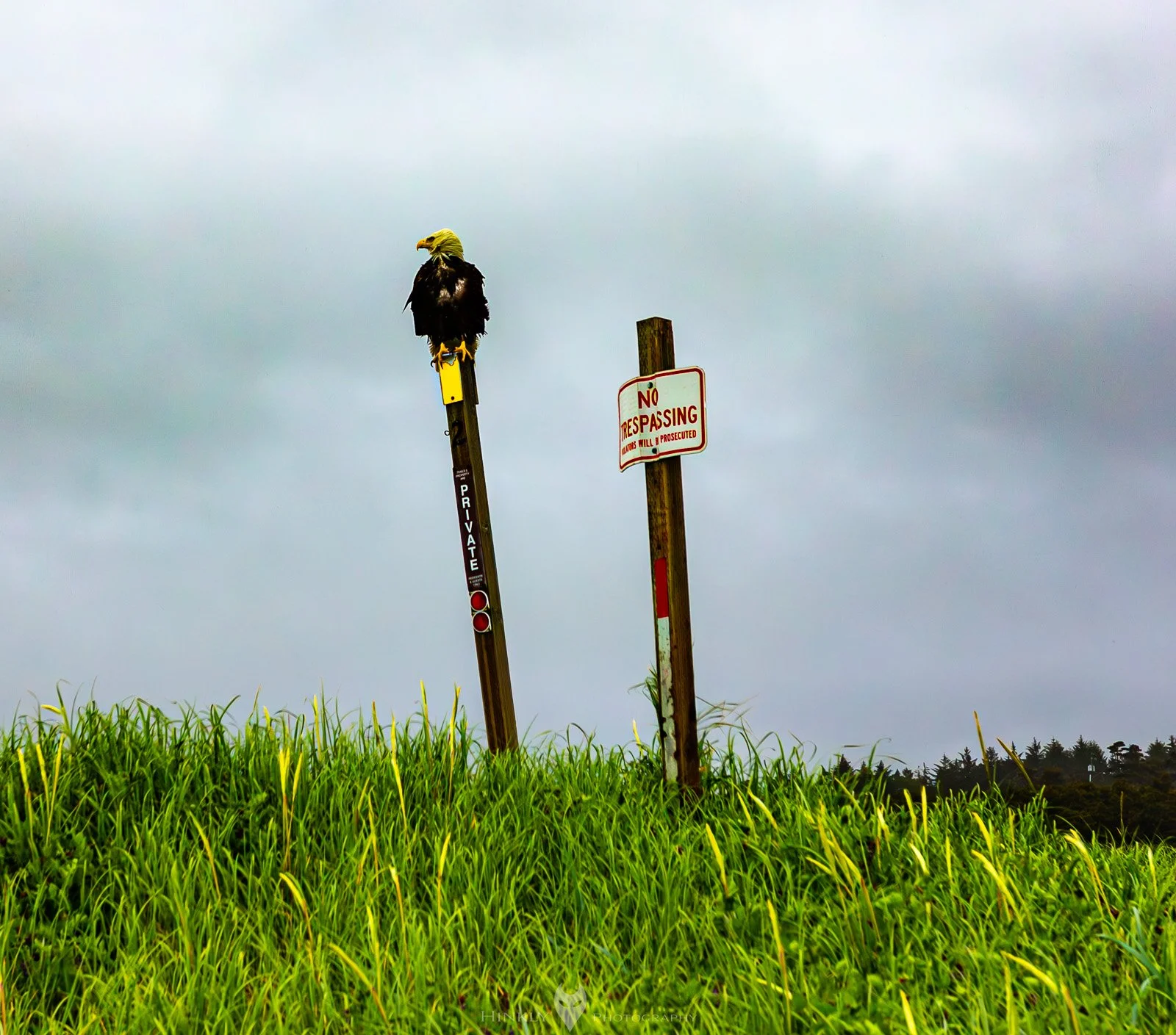 HinklyPhotography_2025_Oregon2022-1.jpg