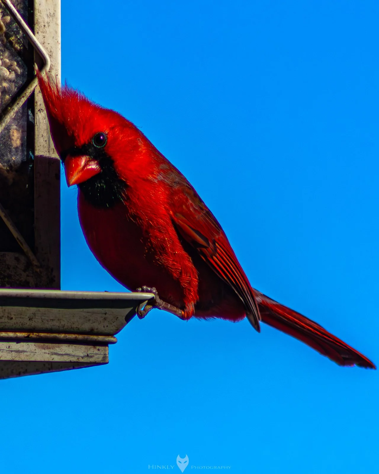 HinklyPhotography_2025_Oregon2022-2.jpg