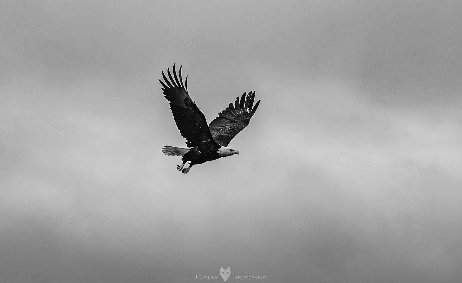 HinklyPhotography_2025_Oregon2022-4.jpg