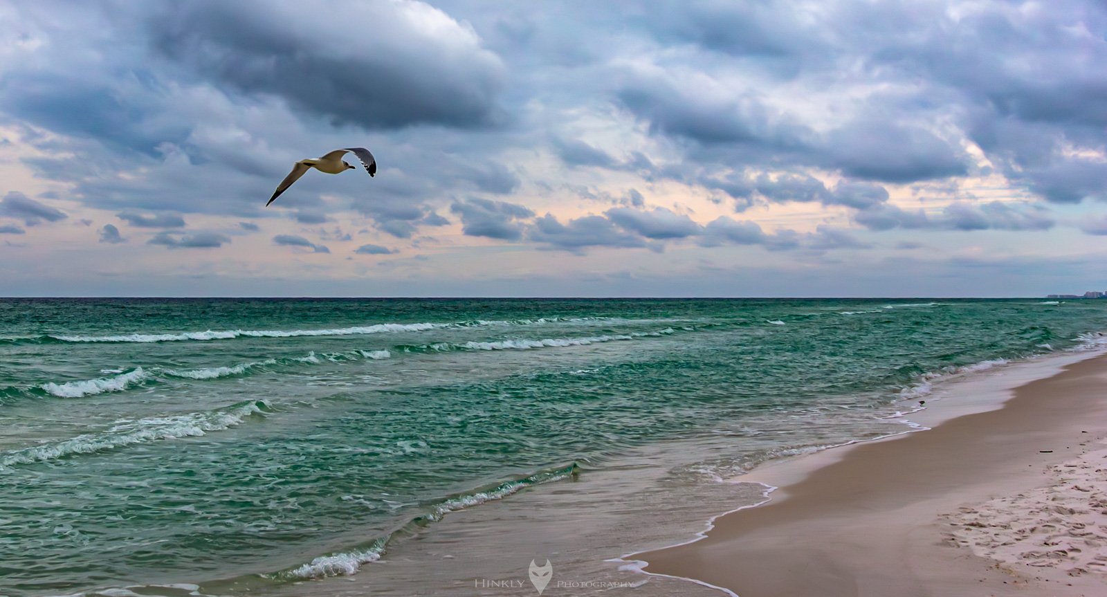 HinklyPhotography_2025_Oregon2019-5.jpg