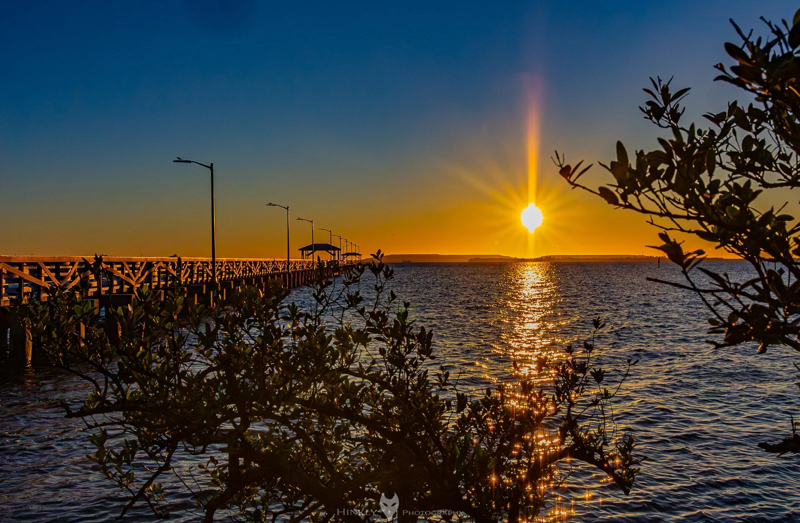 Hinkly_Photography_Tampa-23.jpg