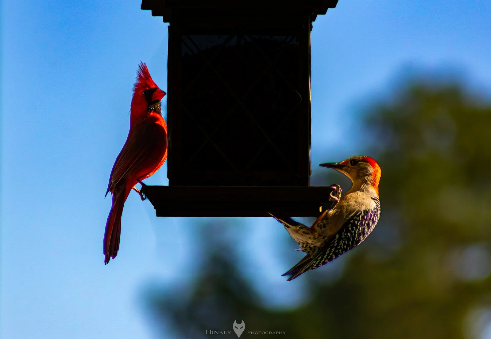 HinklyPhotography_2025_Oregon2022-4.jpg