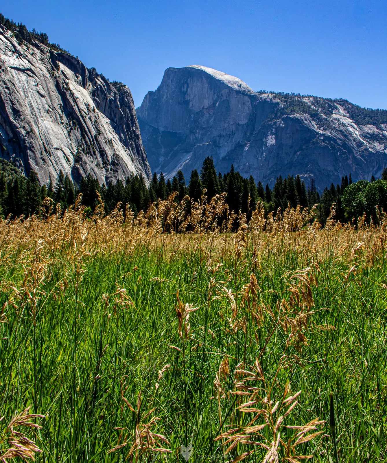 HinklyPhotography_2025_IG-1-11.jpg