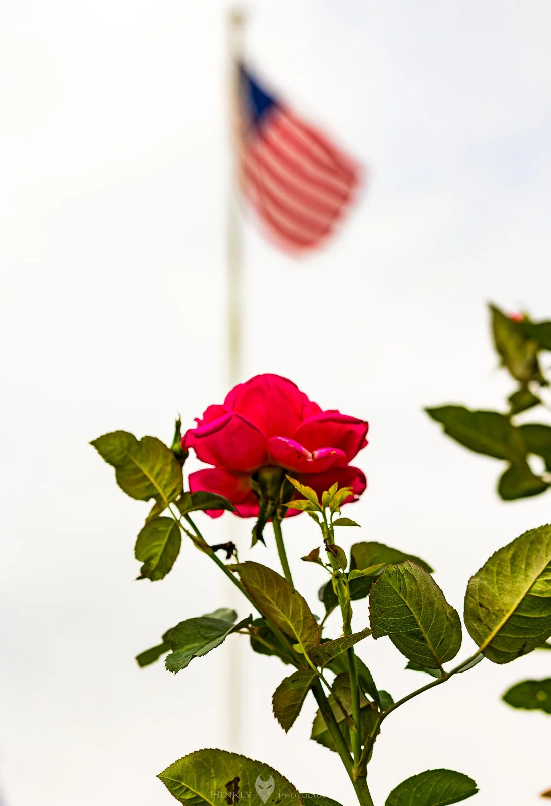 HinklyPhotography_2025_IG-9-2.jpg