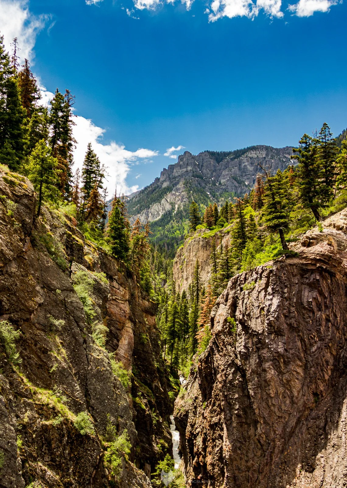 HinklyPhotography_2025_IG-6.jpg