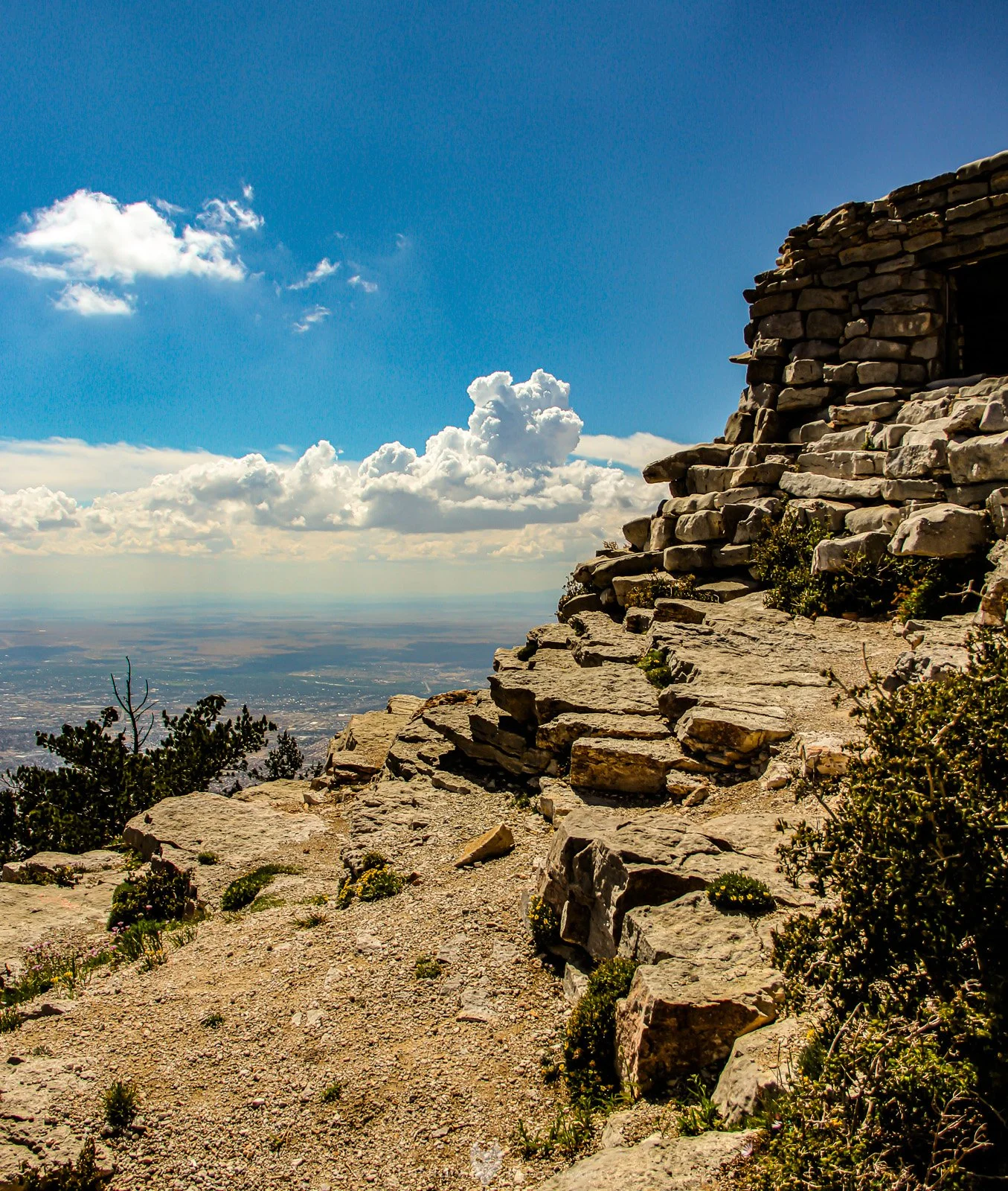 New Mexico