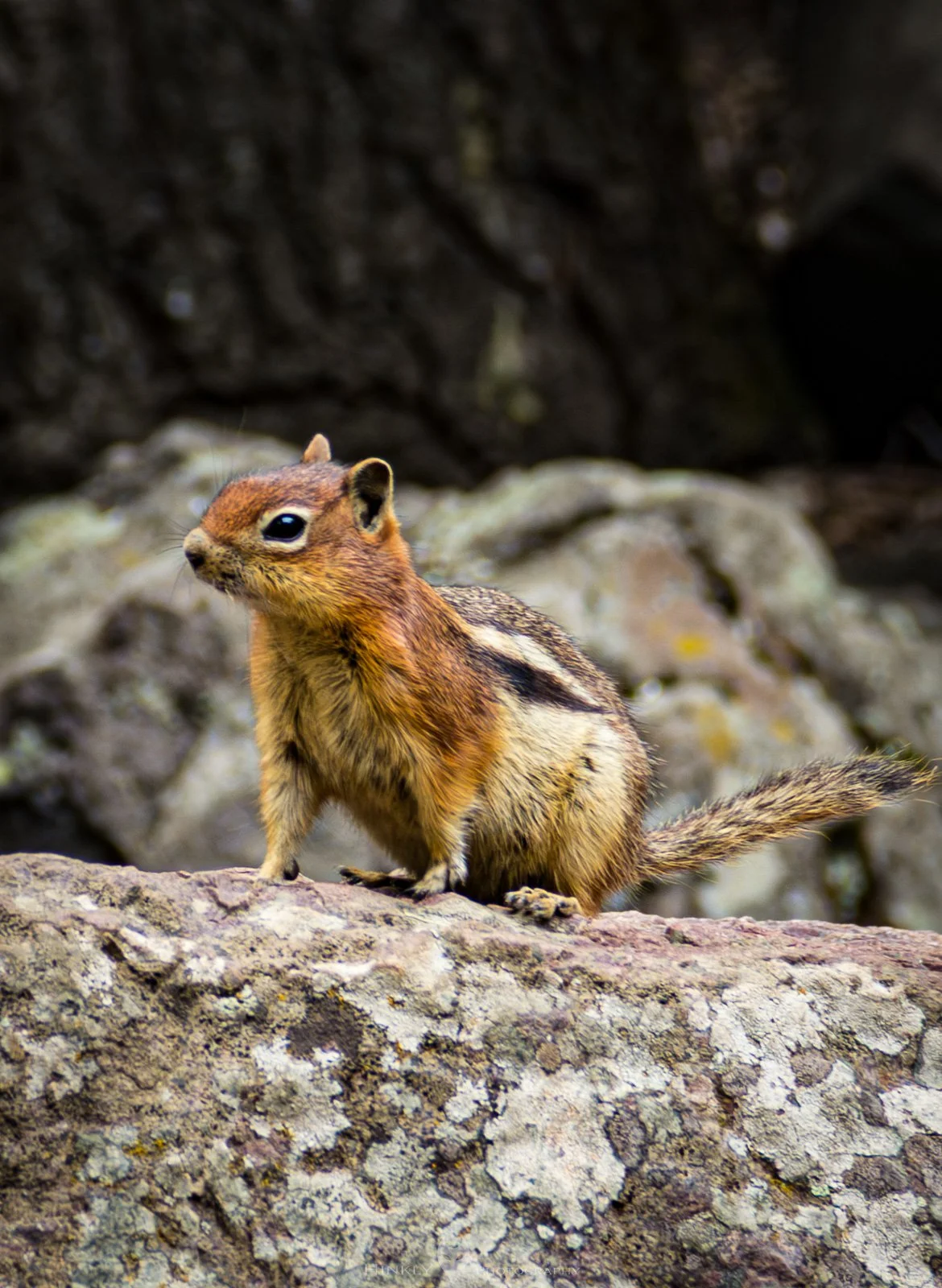 HinklyPhotography_2025_IG-5.jpg