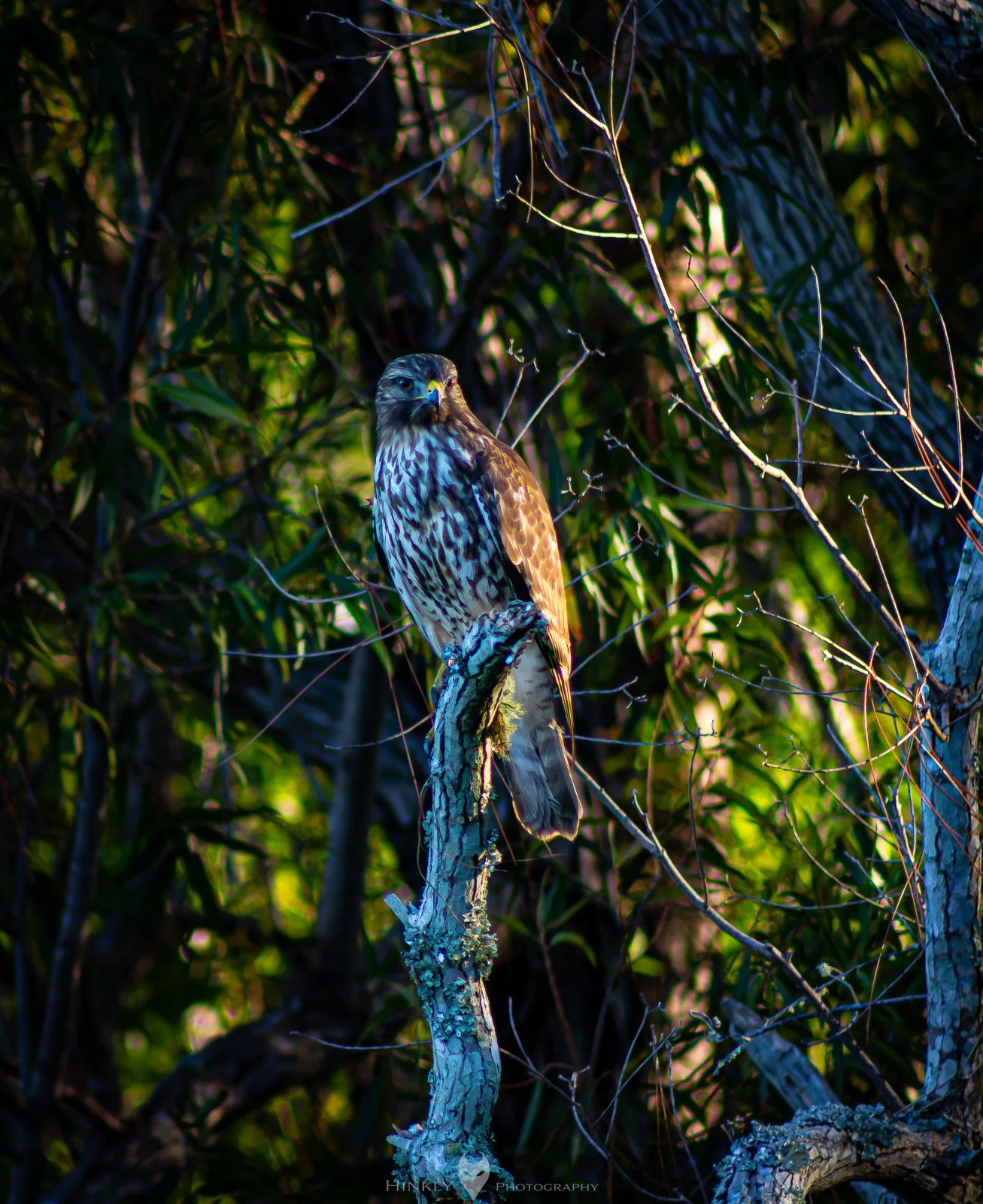 HinklyPhotography_2025_Oregon2022-31.jpg