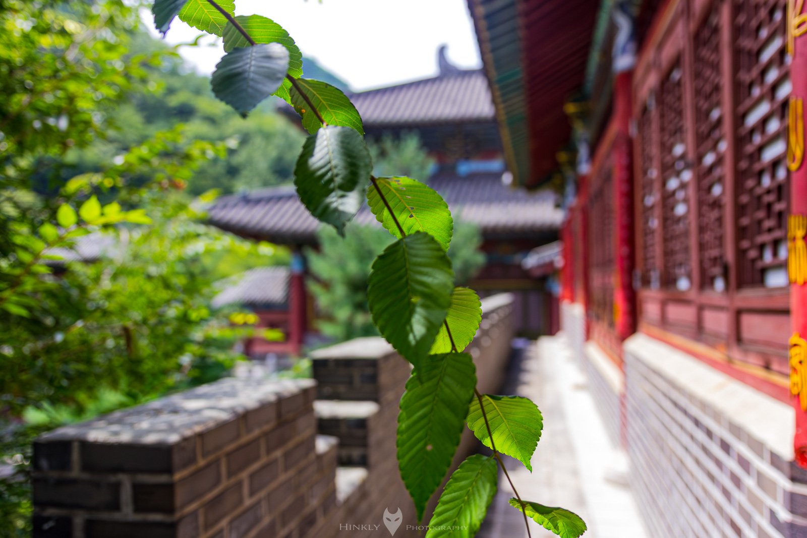 HinklyPhotography_2025_IG-2.jpg