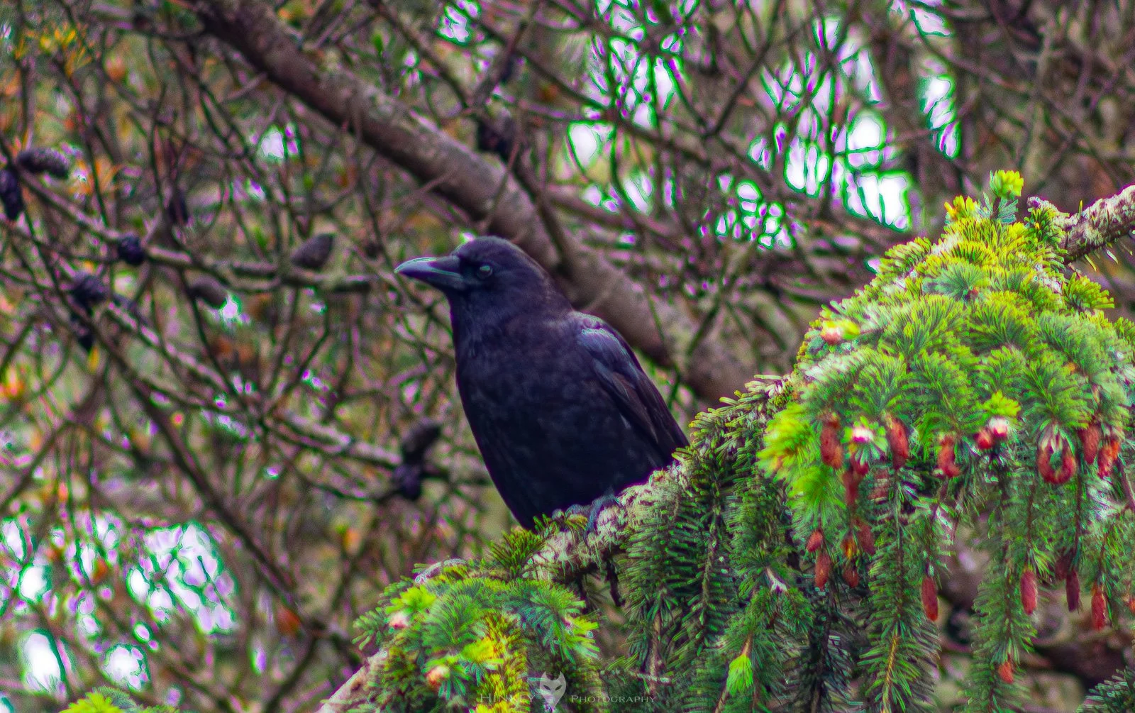 HinklyPhotography_2025_Oregon2022-26.jpg