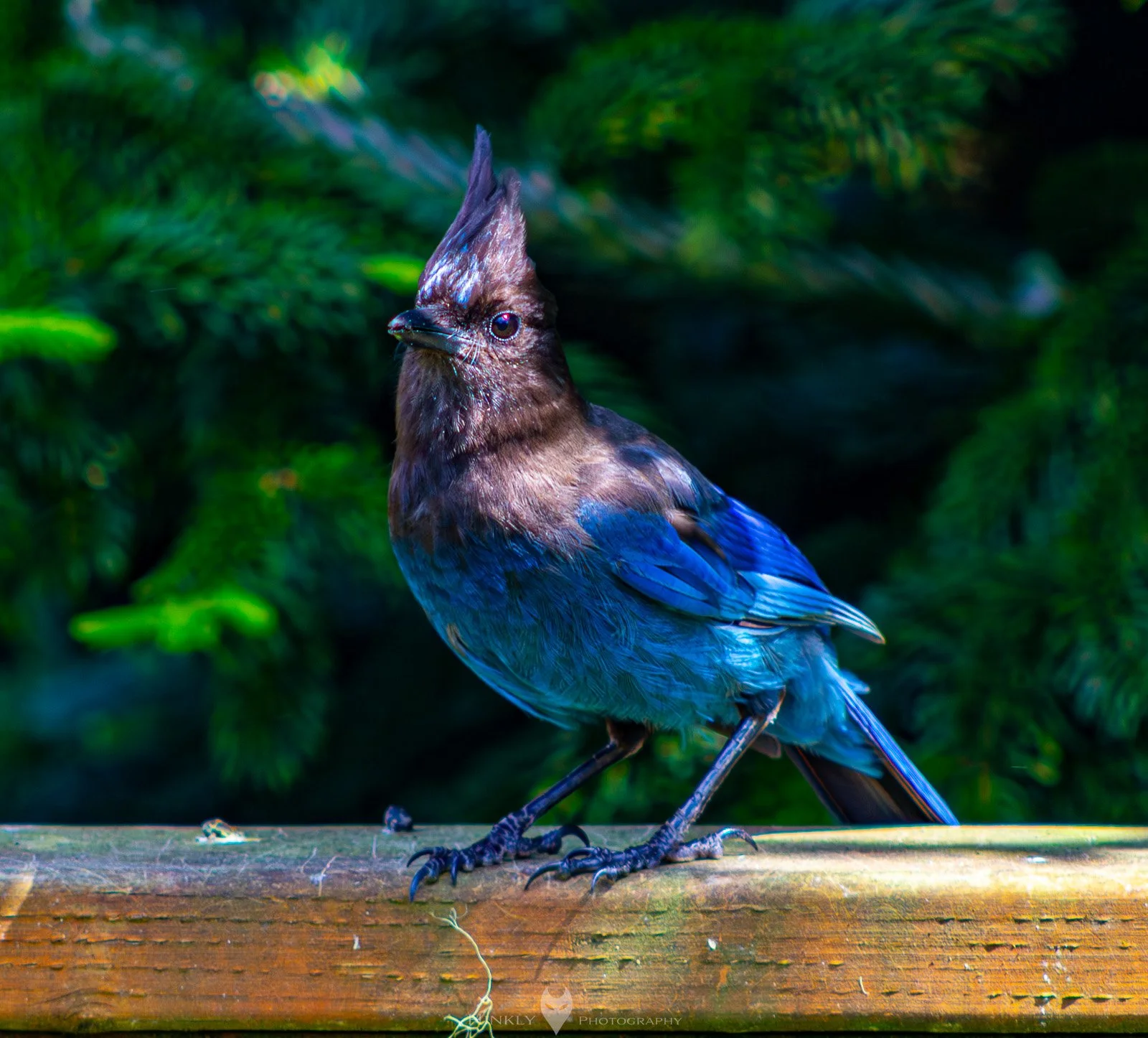 HinklyPhotography_2025_Oregon2022-30.jpg
