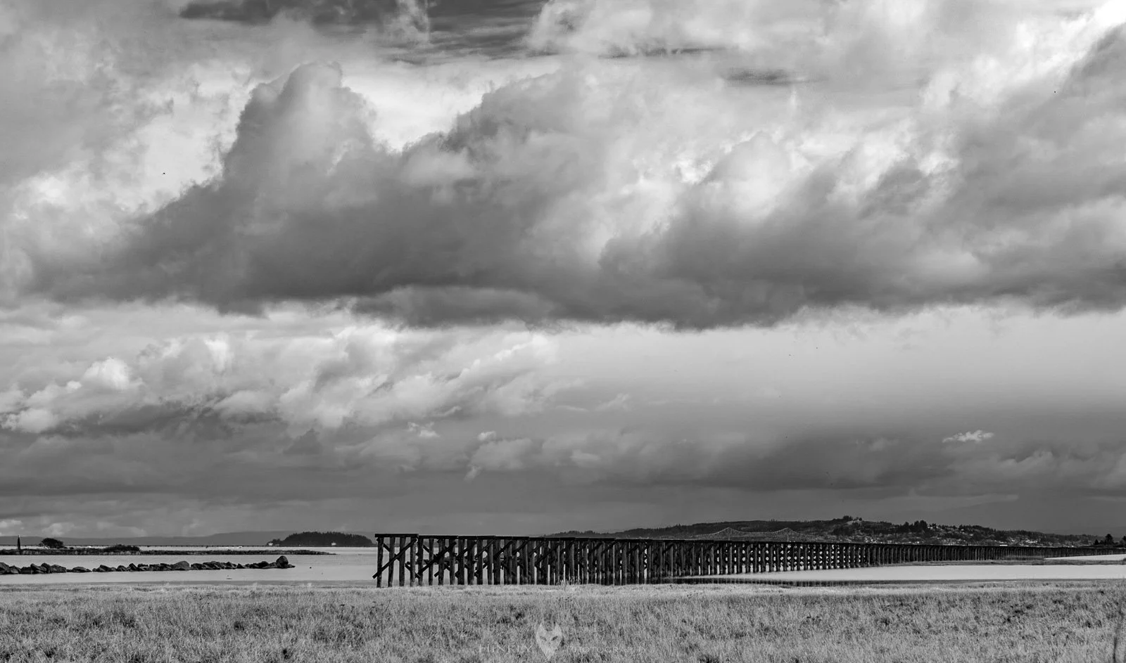 HinklyPhotography_2025_Oregon2019-7.jpg
