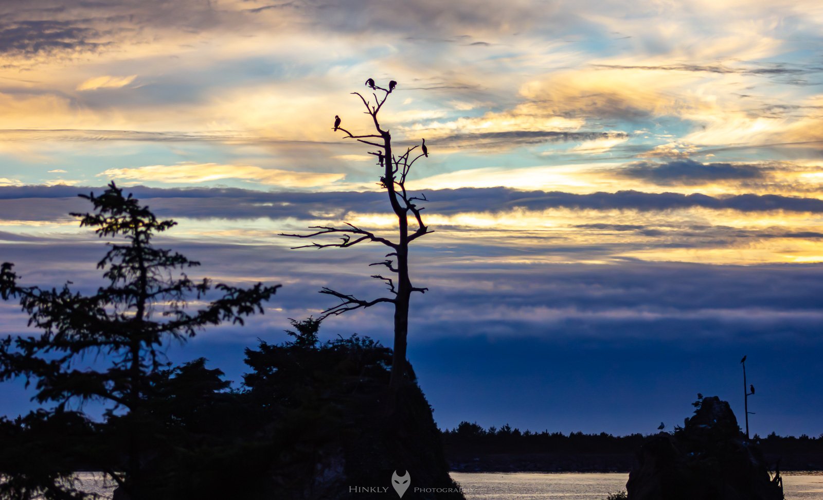 HinklyPhotography_2025_Oregon2022-21.jpg