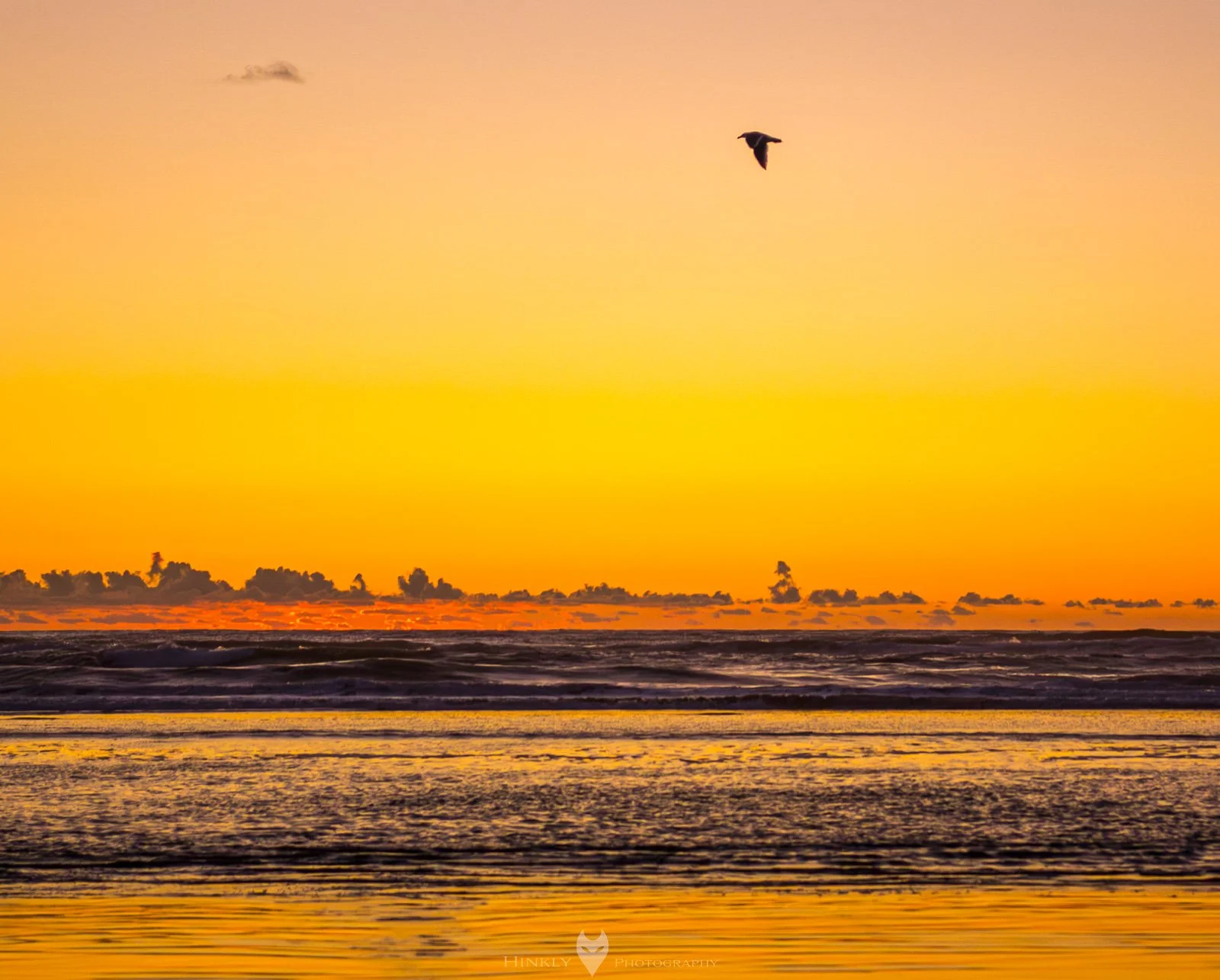 HinklyPhotography_2025_Oregon2019-17.jpg