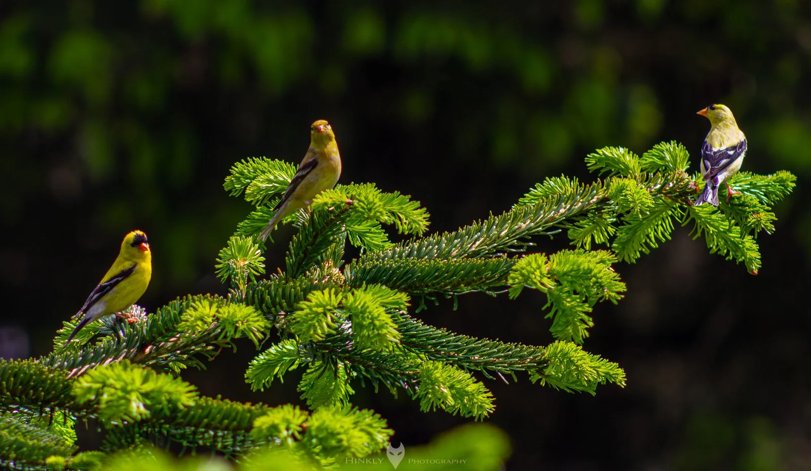 HinklyPhotography_2025_Oregon2022-22.jpg