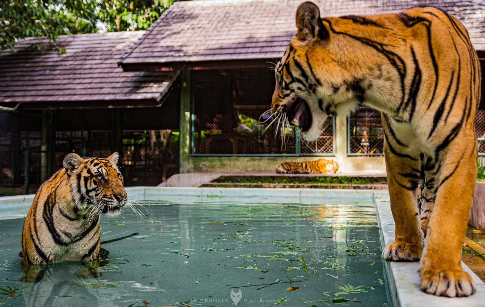HinklyPhotography_2025_Thailand-3.jpg