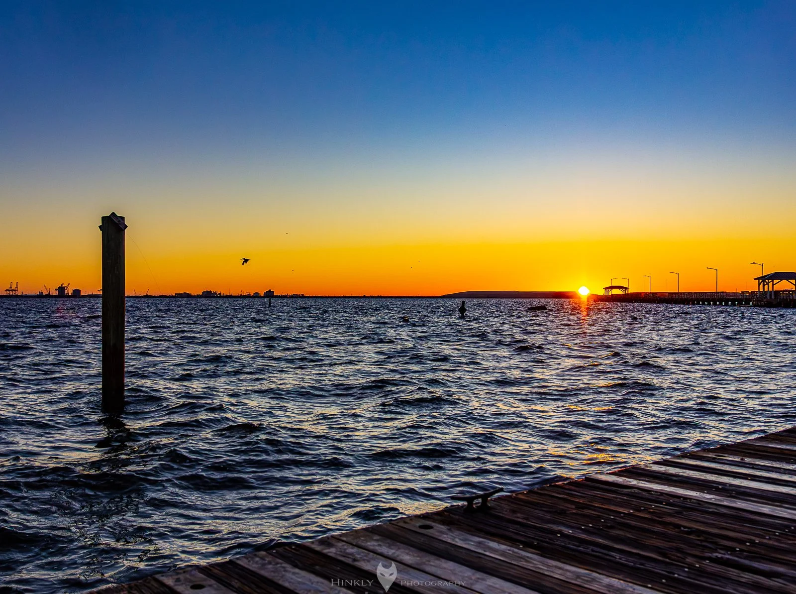 Hinkly_Photography_Tampa-16.jpg