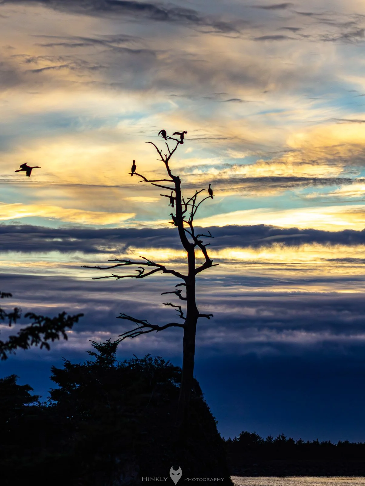 HinklyPhotography_2025_Oregon2022-20.jpg