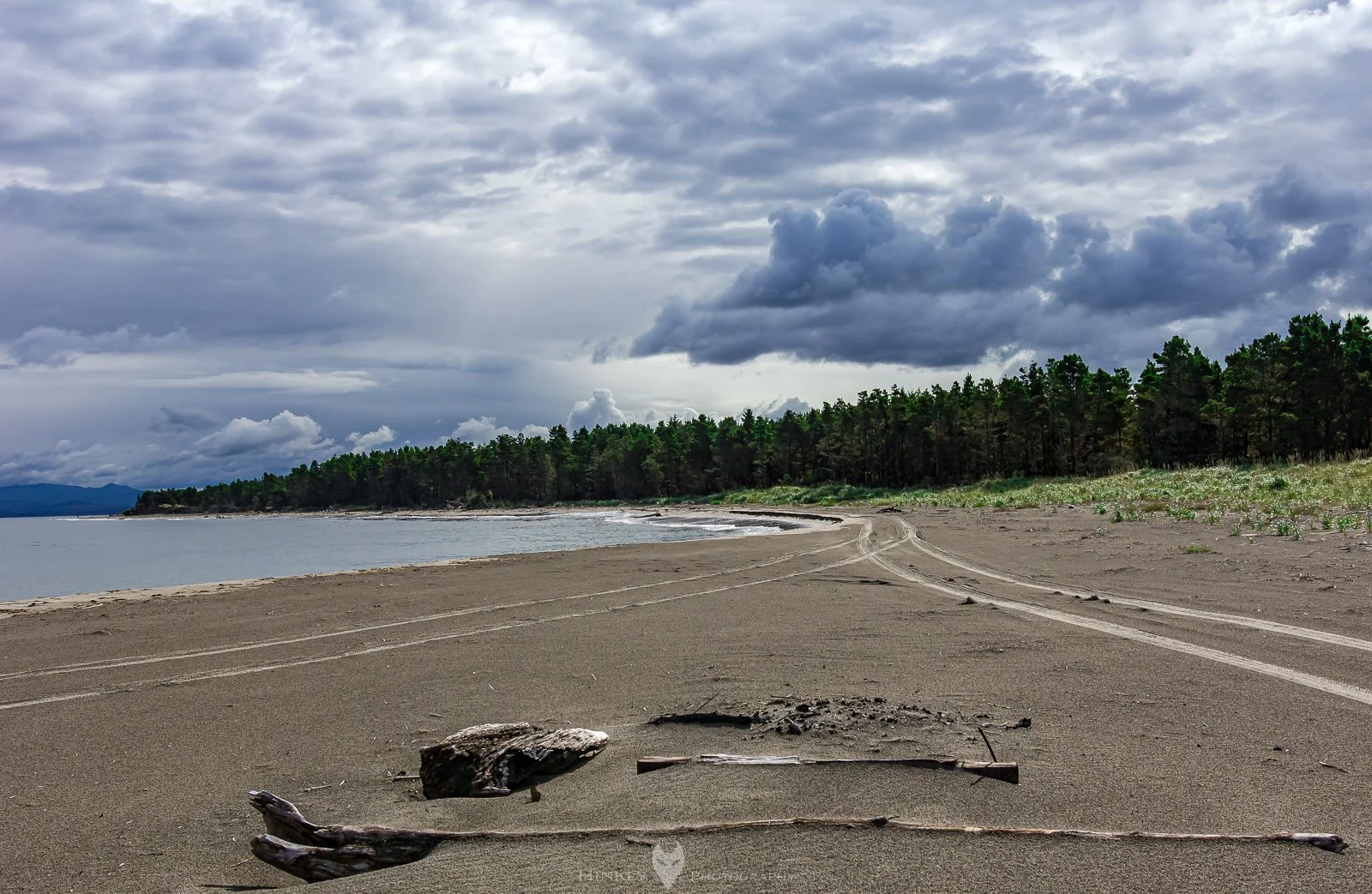 HinklyPhotography_2025_Oregon2019-4.jpg
