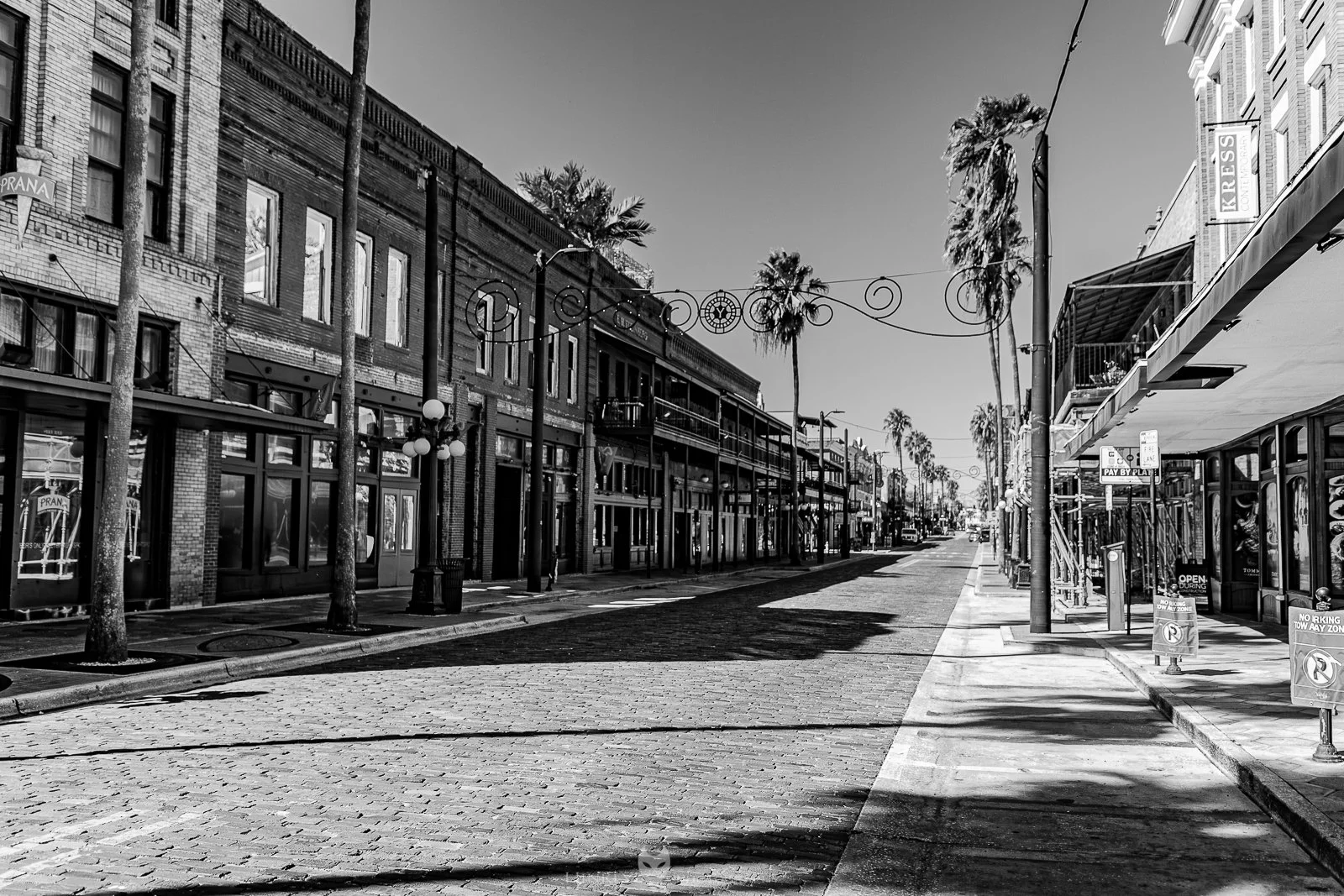 Hinkly_Photography_Tampa-25.jpg