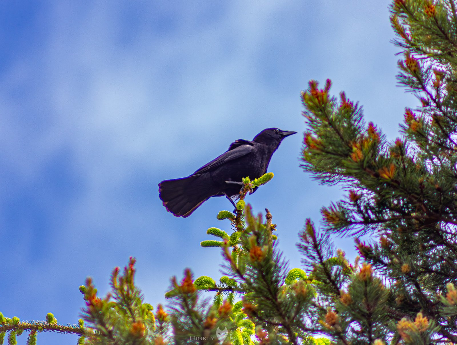 HinklyPhotography_2025_Oregon2022-24.jpg