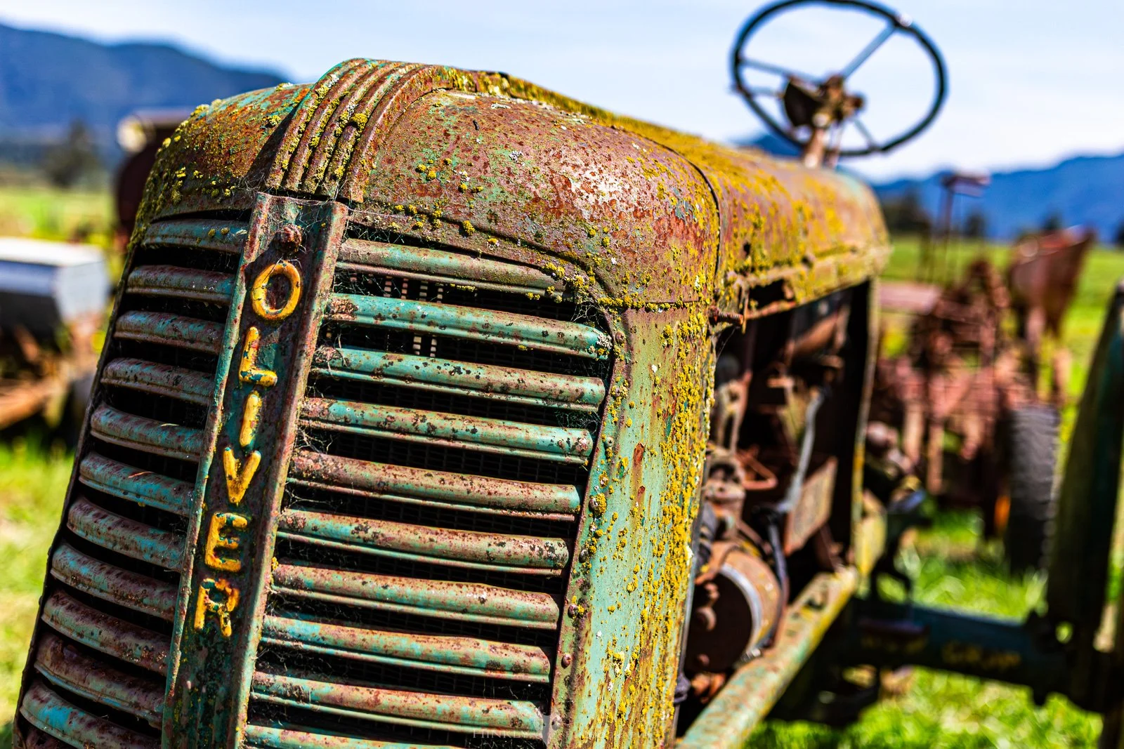 HinklyPhotography_2025_Oregon2022-15.jpg
