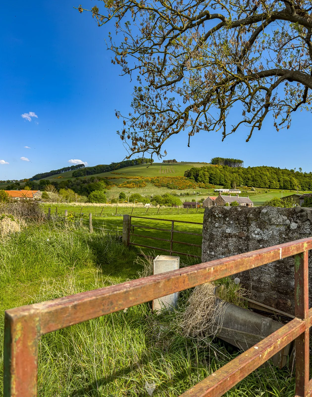 HinklyPhotography_2025_Oregon2022-48.jpg