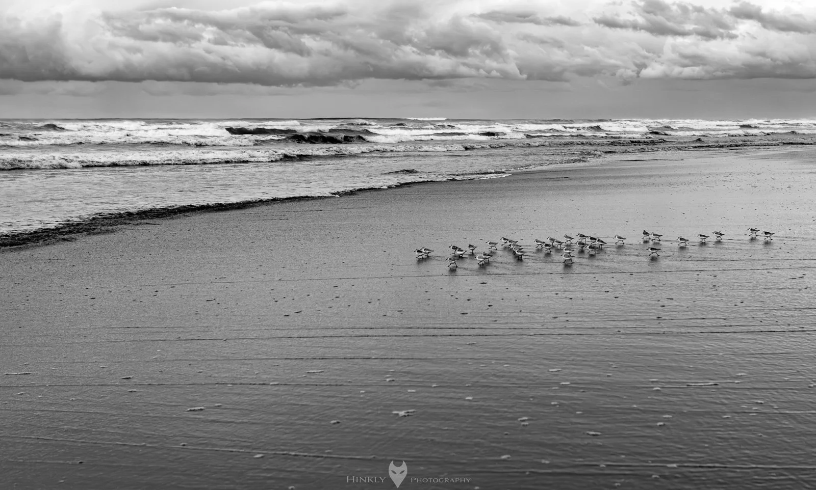HinklyPhotography_2025_Oregon2019-32.jpg