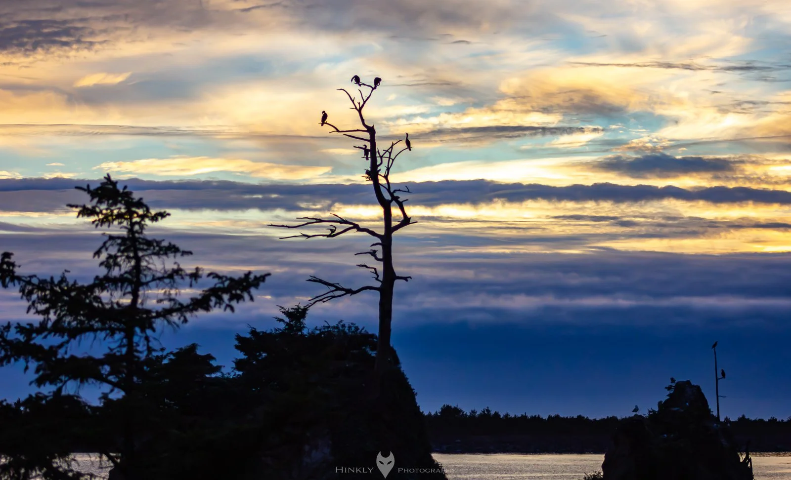 HinklyPhotography_2025_Oregon2022-21.jpg