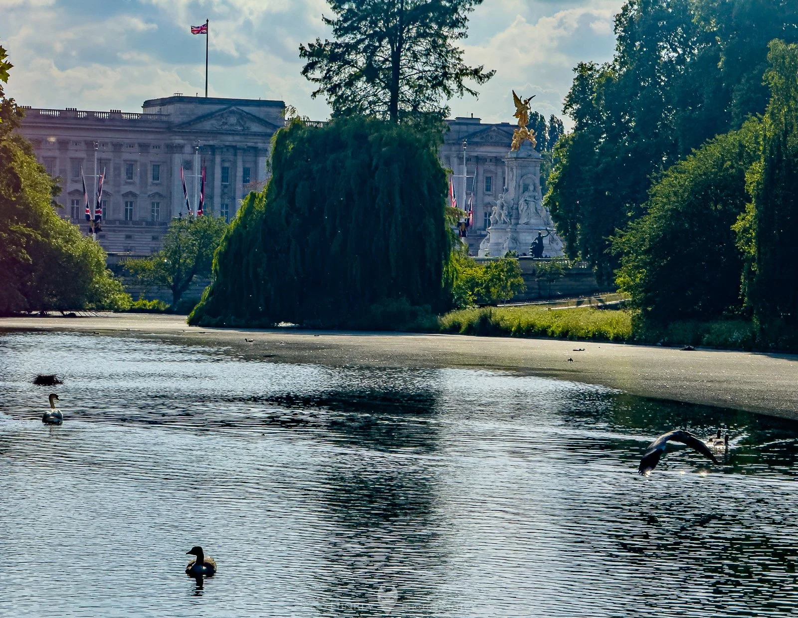 Hinkly_Photography_England-12.jpg