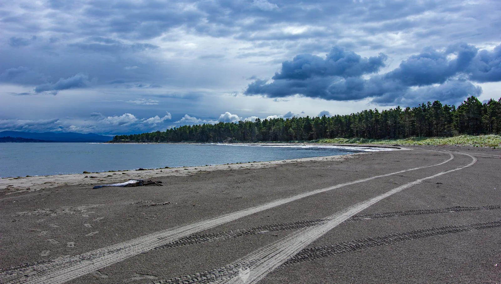 HinklyPhotography_2025_Oregon2019-3.jpg