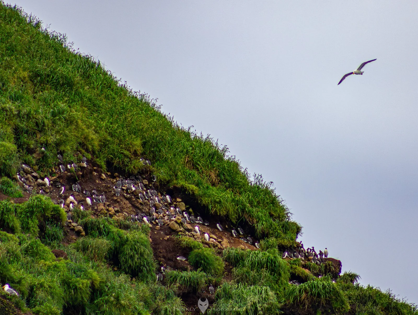 HinklyPhotography_2025_Oregon2022-16.jpg