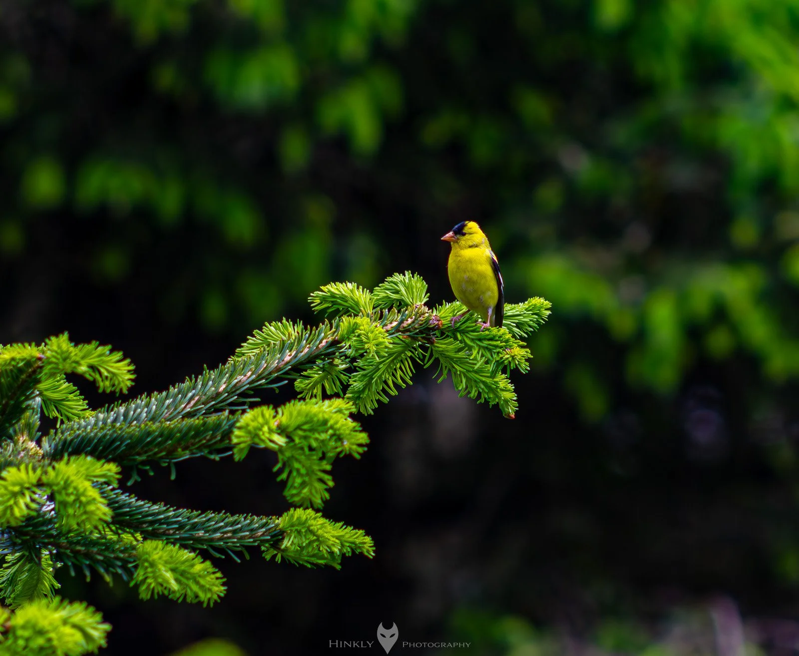 HinklyPhotography_2025_Oregon2022-23.jpg