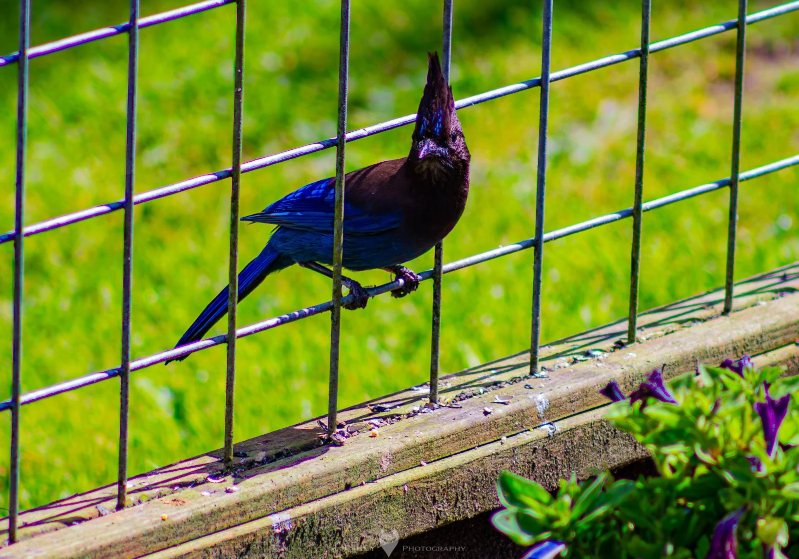 HinklyPhotography_2025_Oregon2022-32.jpg