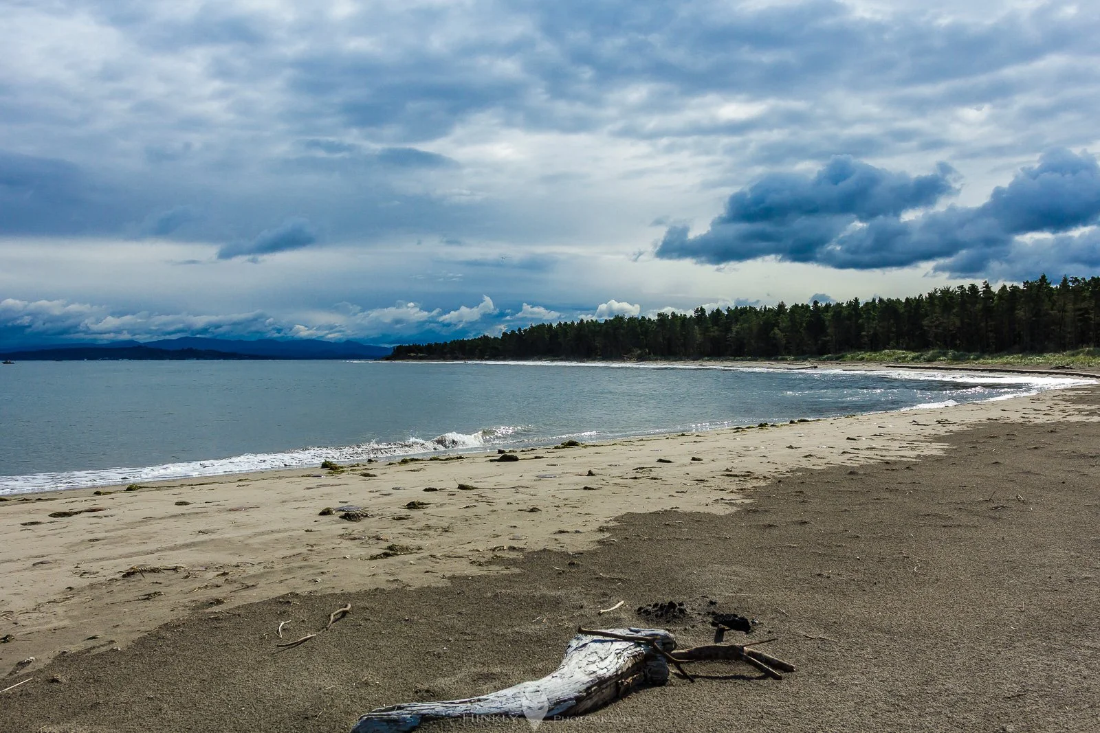 HinklyPhotography_2025_Oregon2019-2.jpg