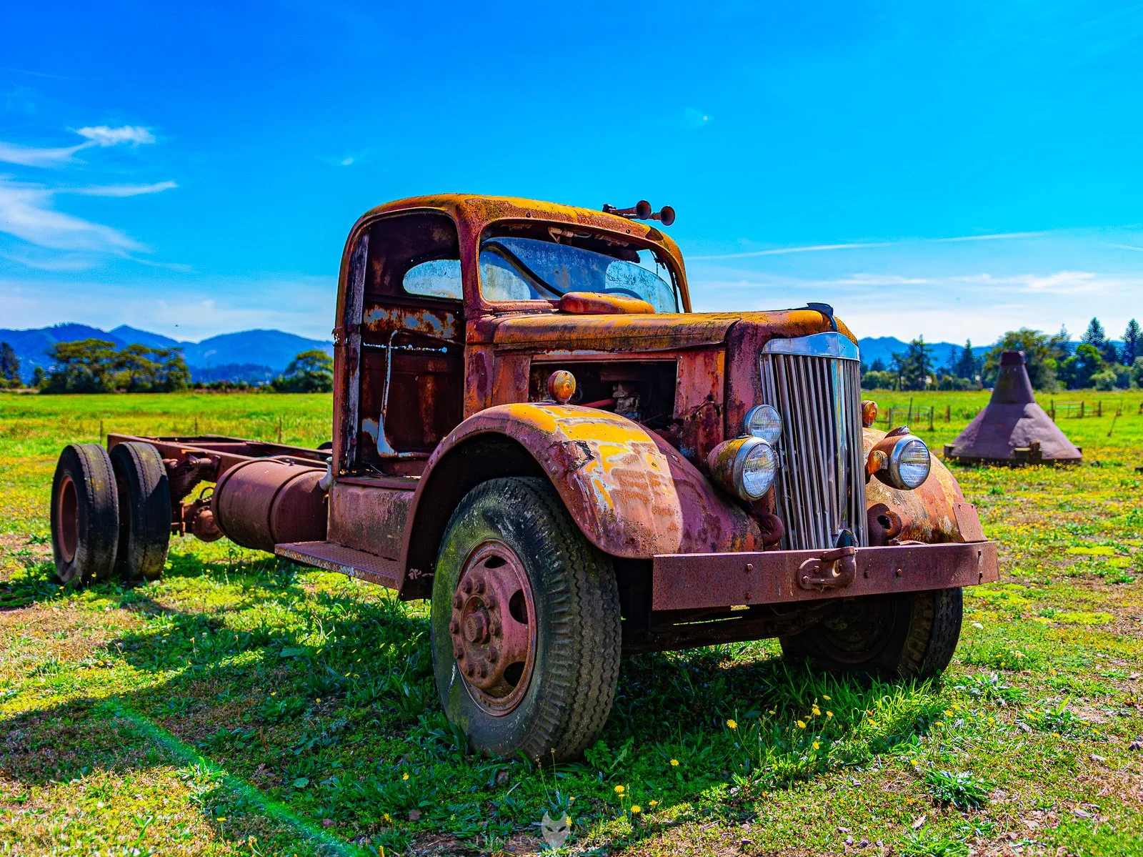 HinklyPhotography_2025_Oregon2022-13.jpg