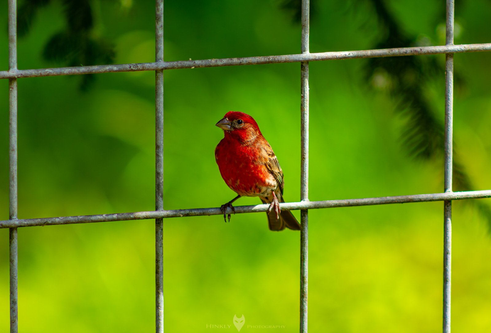 HinklyPhotography_2025_Oregon2022-34.jpg