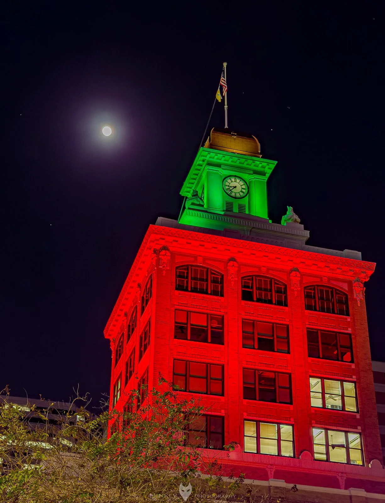 Hinkly_Photography_Tampa-36.jpg