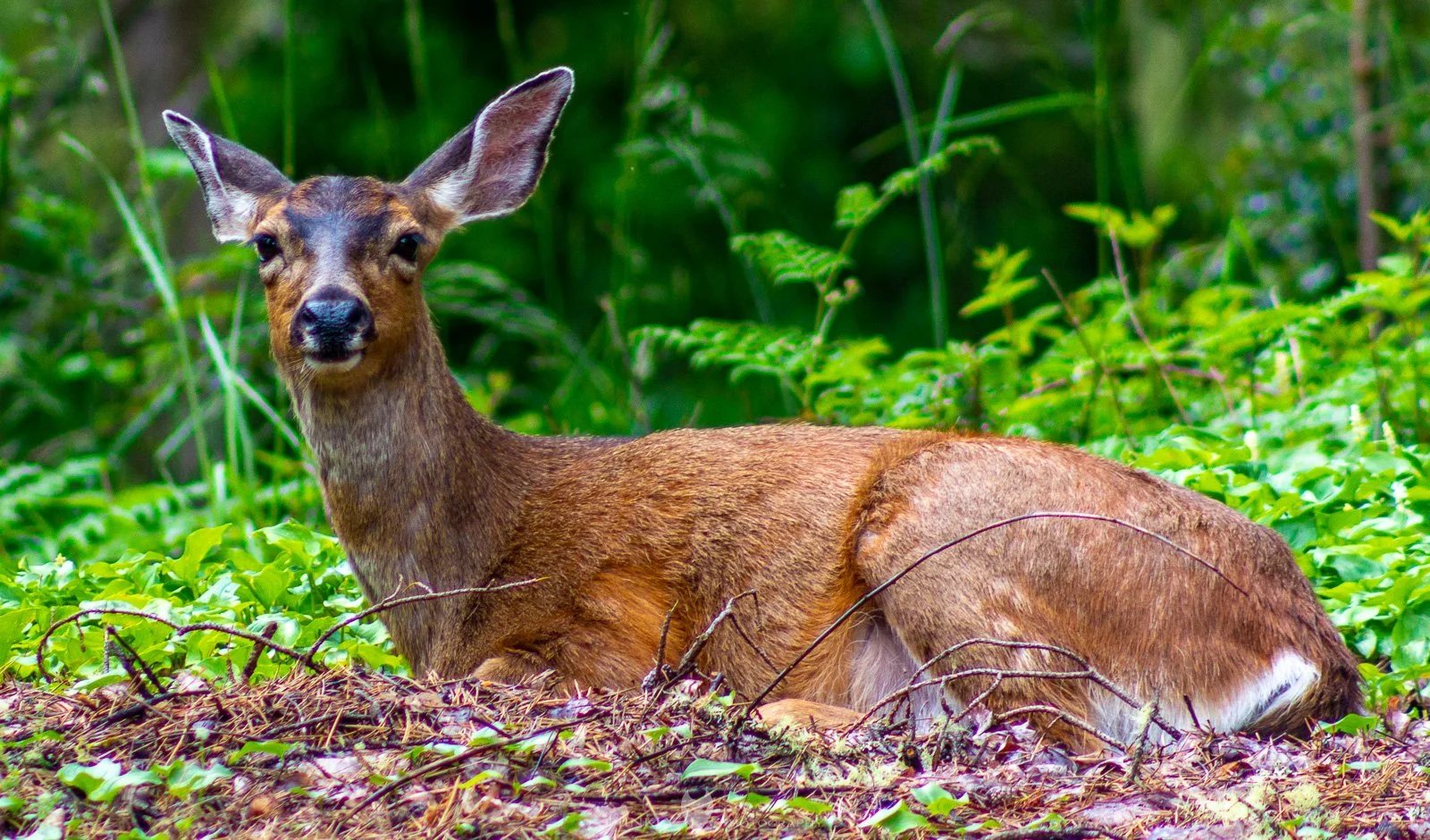 HinklyPhotography_2025_Oregon2022-39.jpg