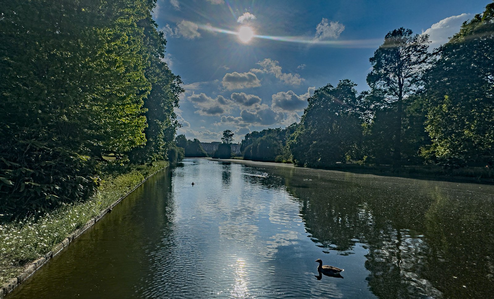 Hinkly_Photography_England-13.jpg