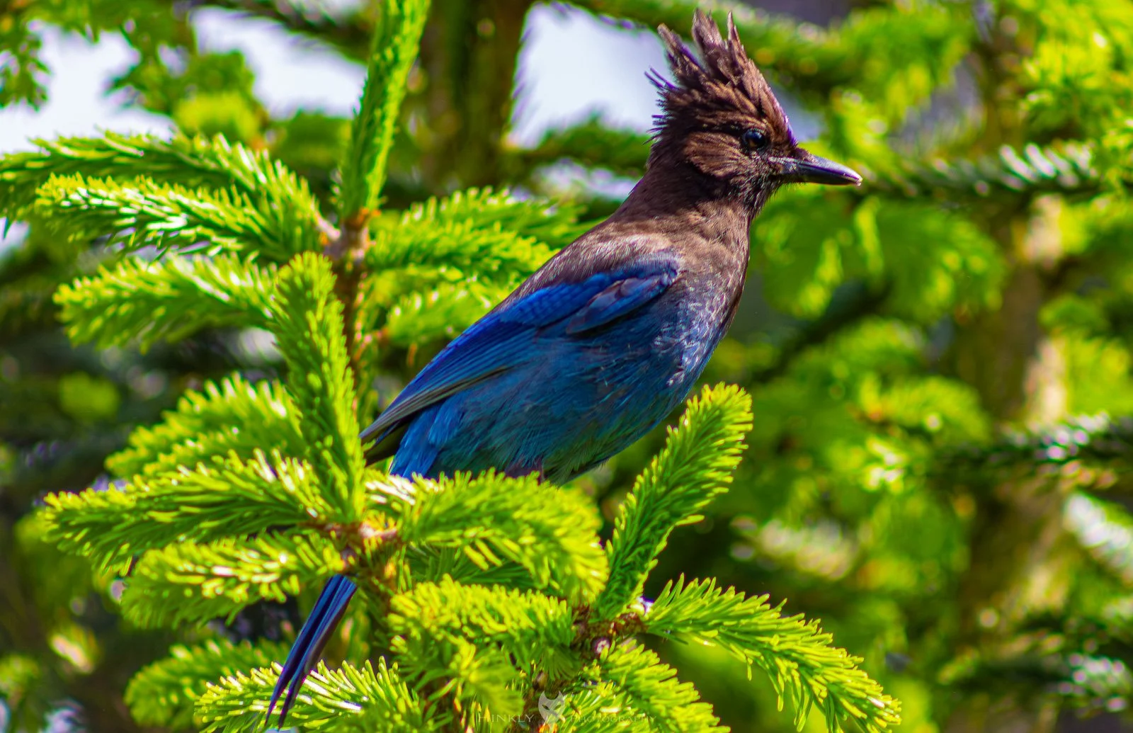 HinklyPhotography_2025_Oregon2022-37.jpg