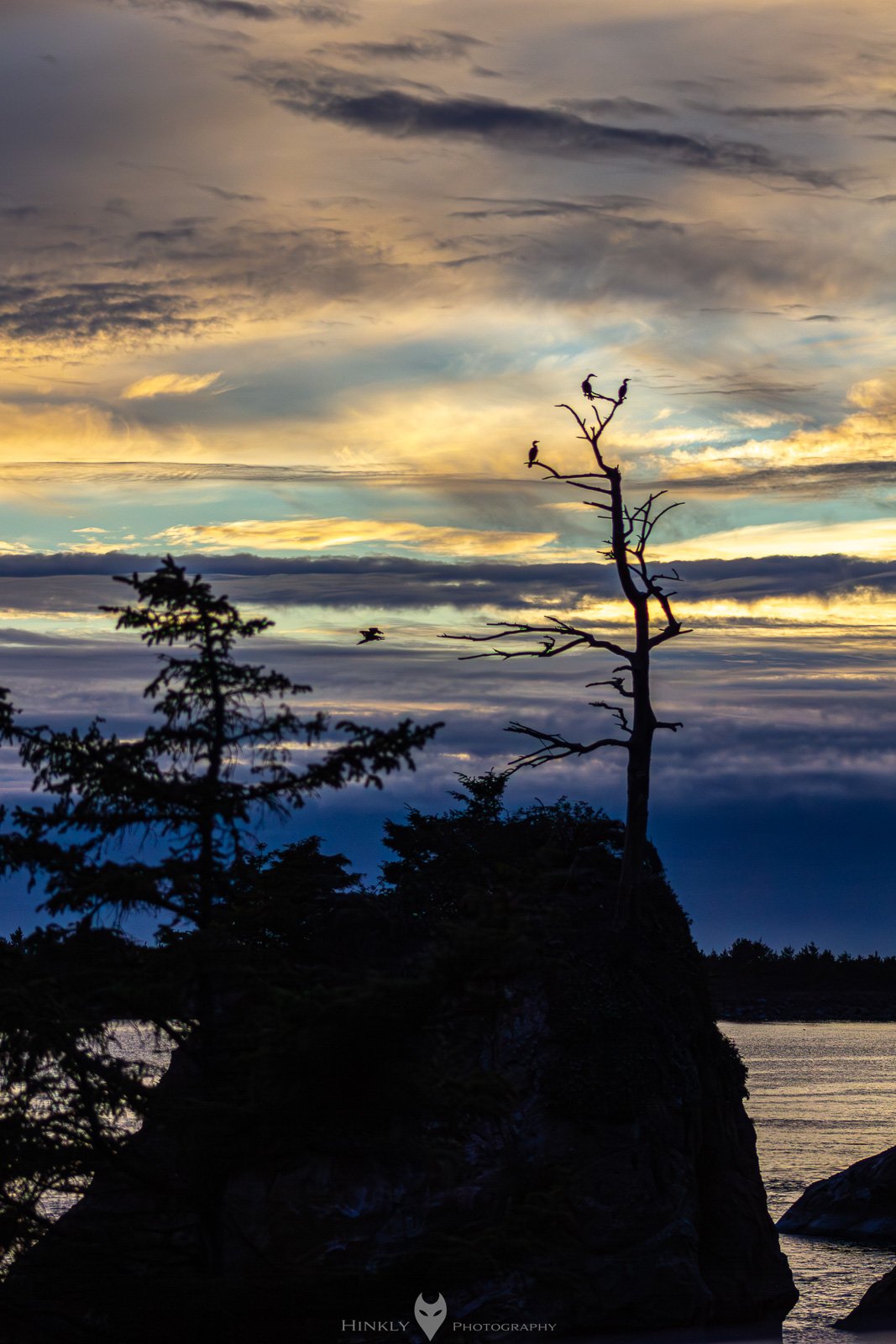 HinklyPhotography_2025_Oregon2022-23.jpg