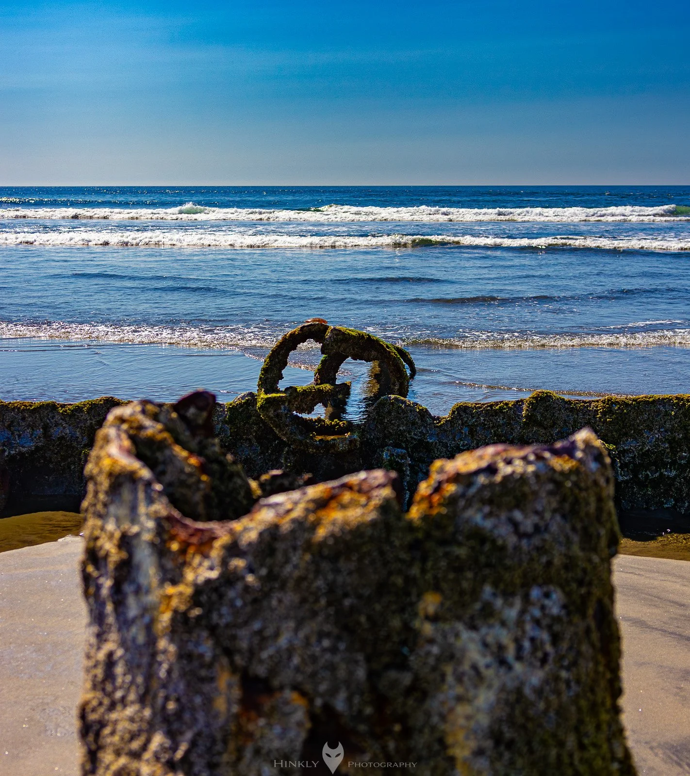 HinklyPhotography_2025_Oregon2022-8.jpg