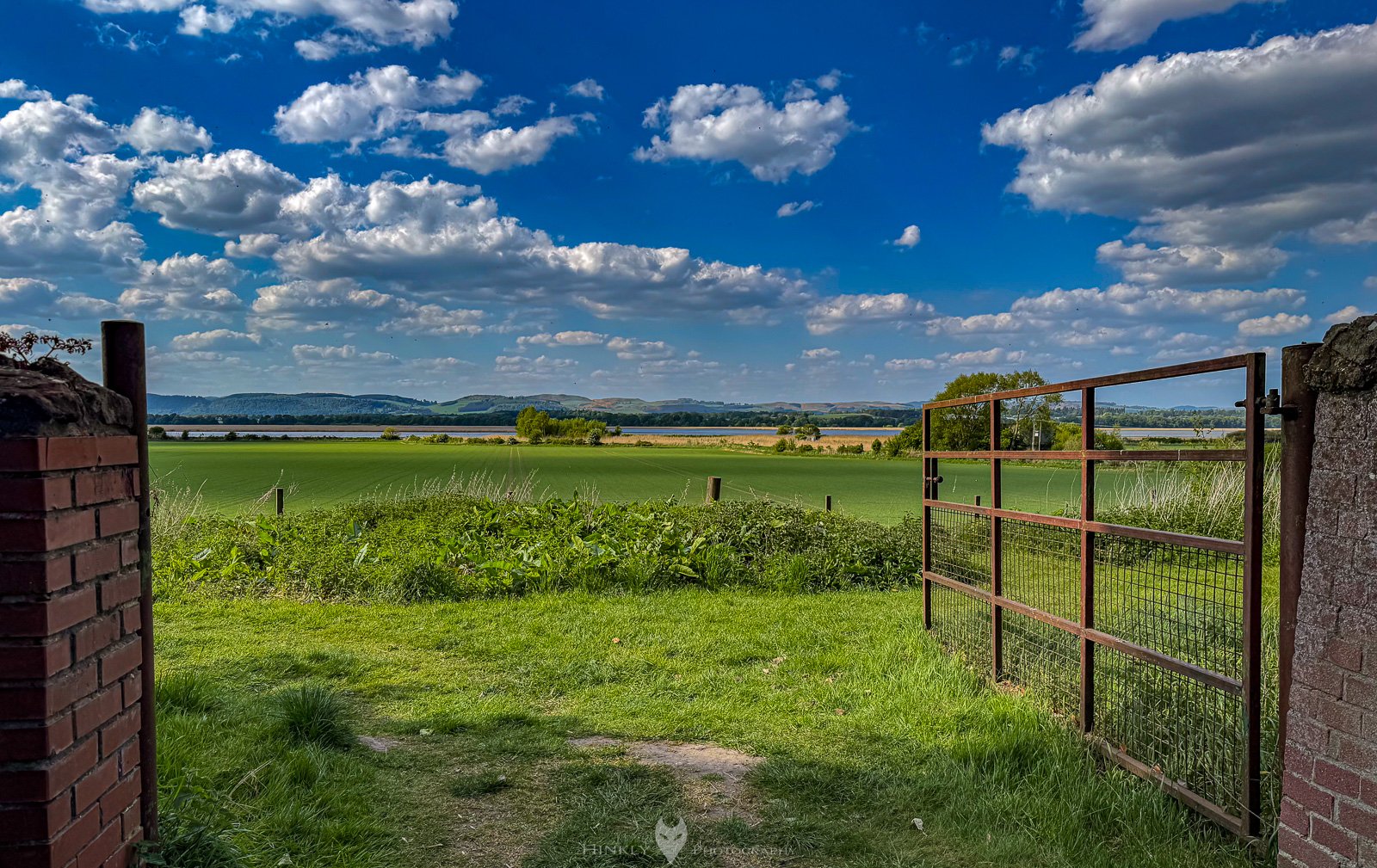 HinklyPhotography_2025_Oregon2022-49.jpg