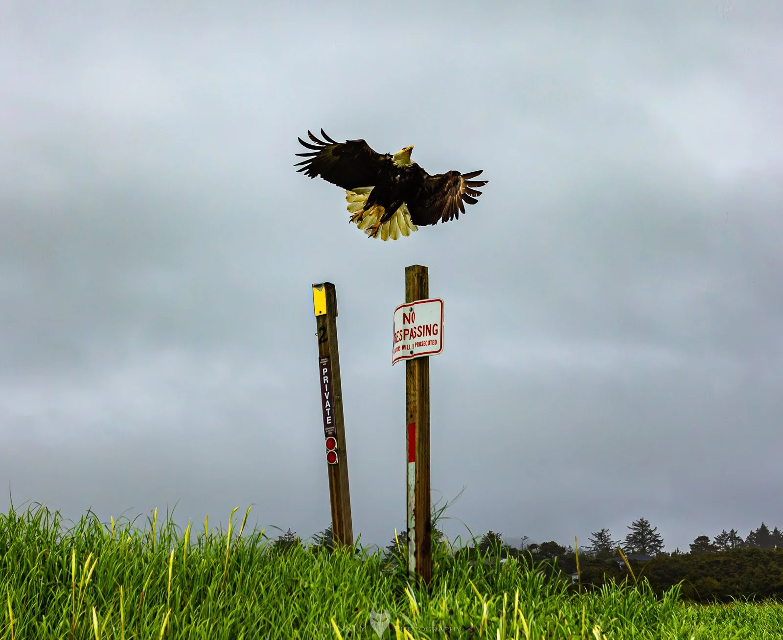 HinklyPhotography_2025_Oregon2022-2.jpg
