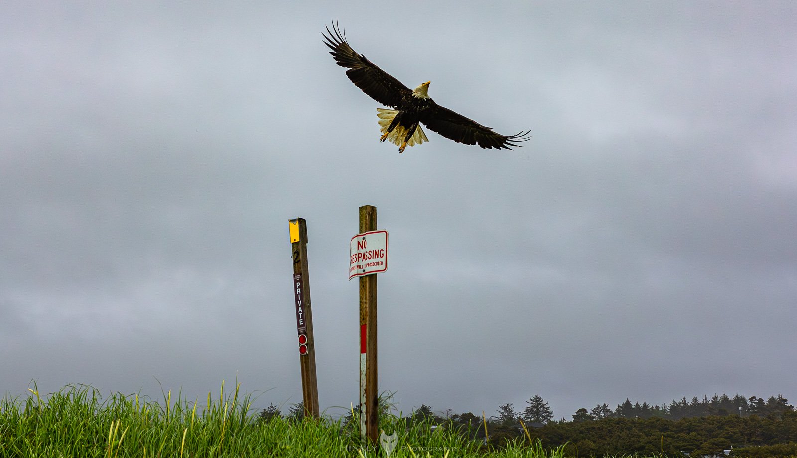 HinklyPhotography_2025_Oregon2022-3.jpg