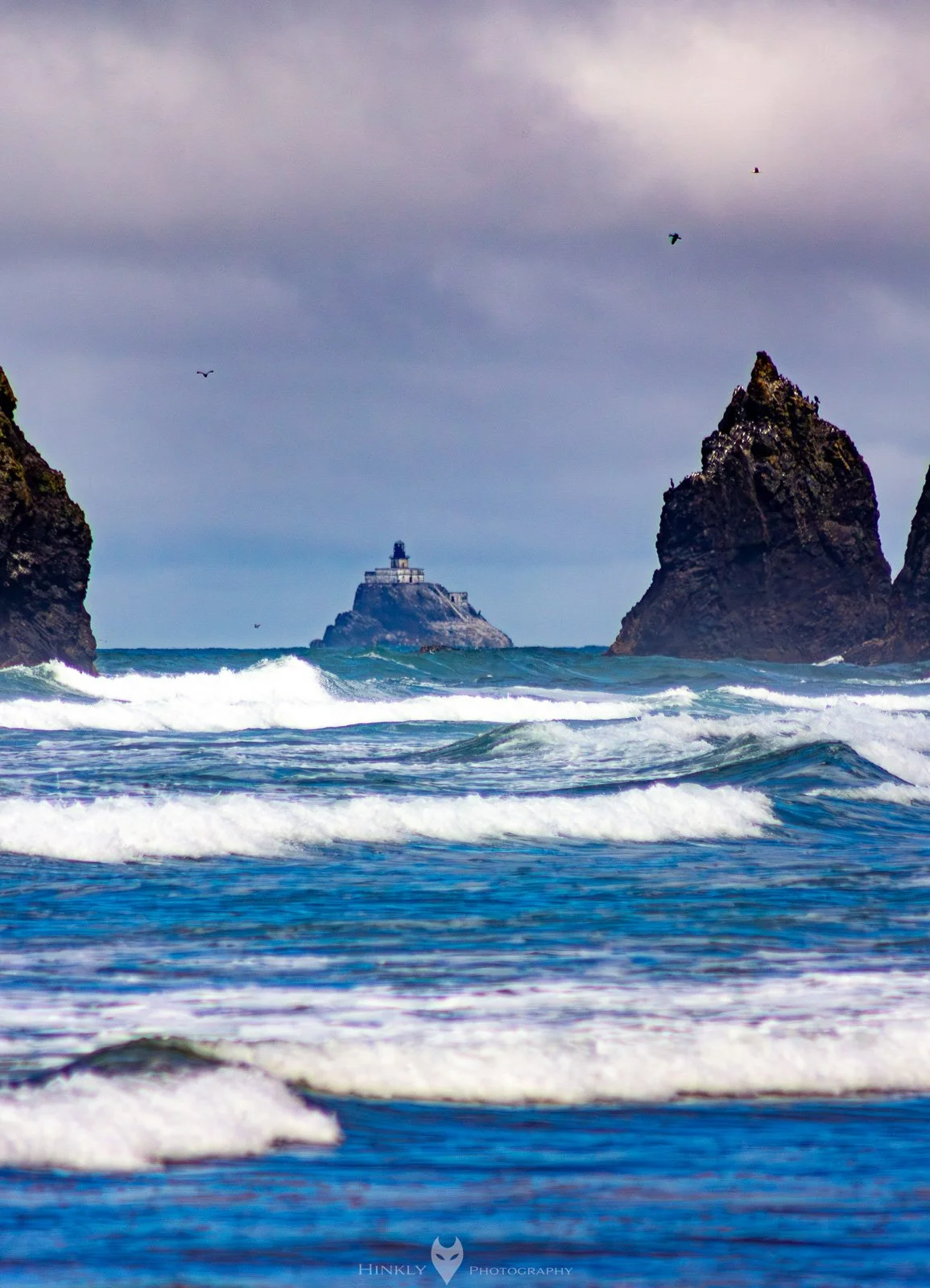 HinklyPhotography_2025_Oregon2022-11.jpg