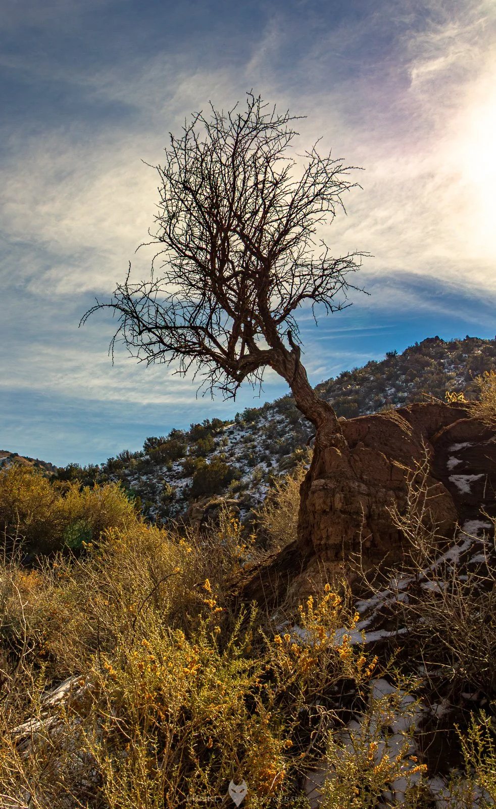 HinklyPhotography_2025_IG-1.jpg